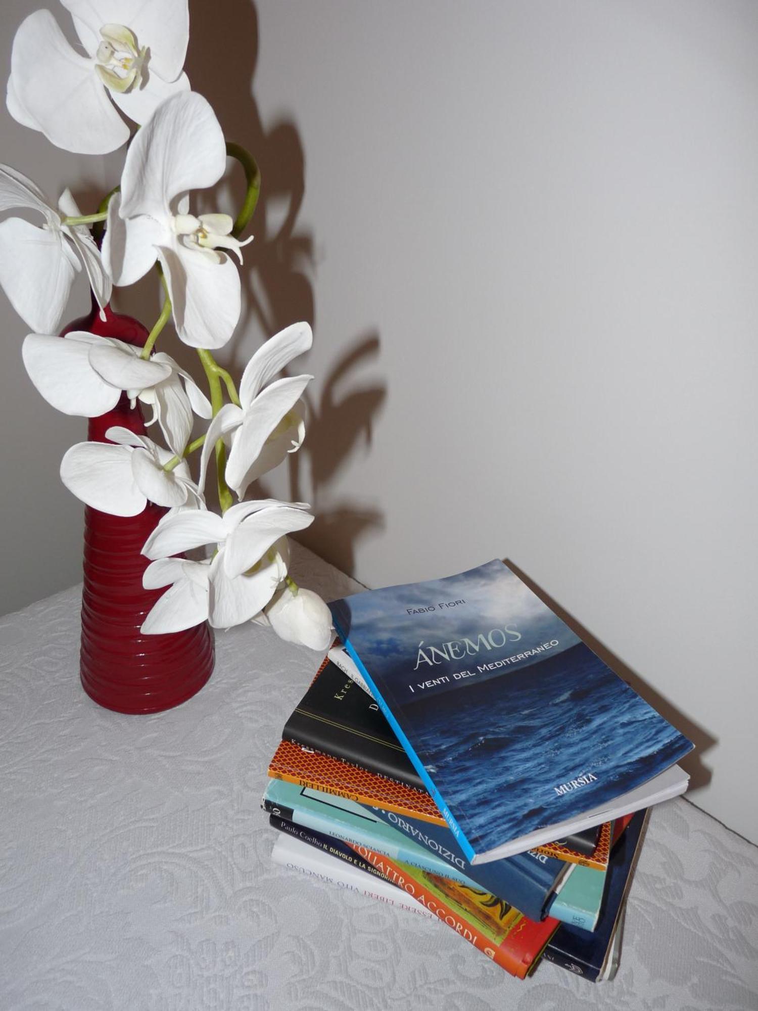 Anemos B&B Termoli Bagian luar foto